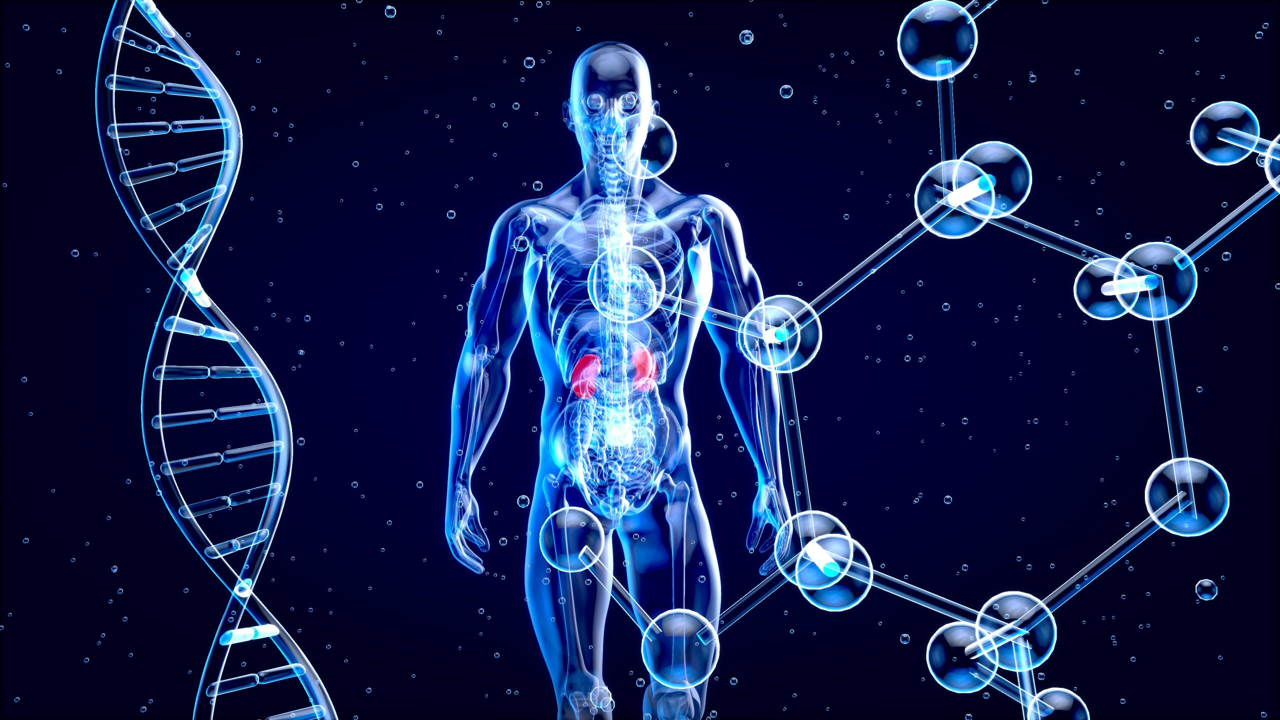 Abstract motion design of backpain and kidneys